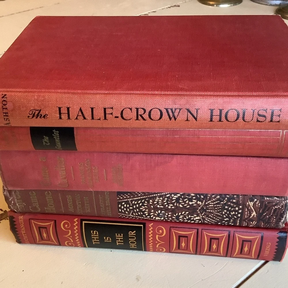 Bundle Lot Antique Vintage Moody Red Hues Books Styling Shelves